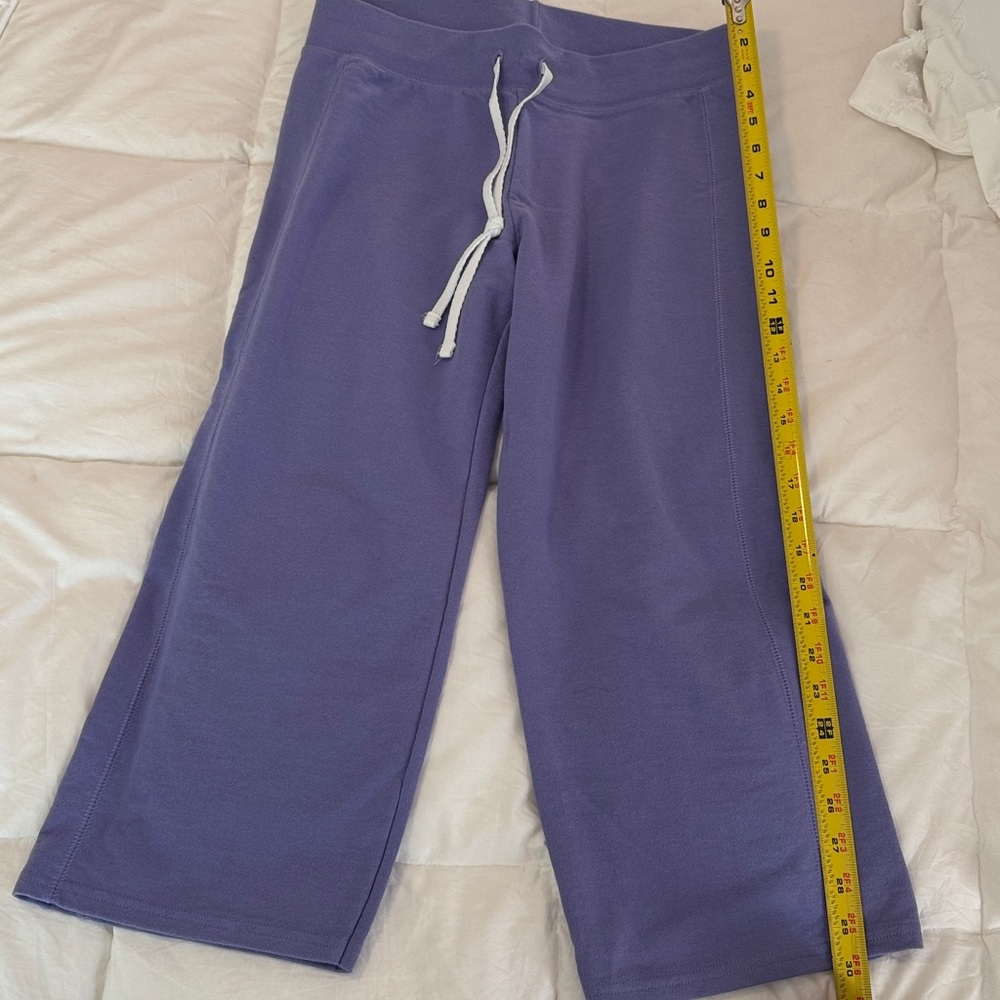 Hanes Purple Women's Jogger Pants Small petite
